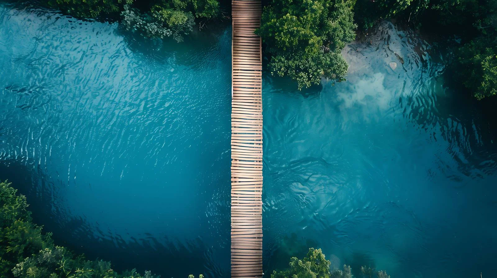 Tranquil Aerial View of Blue Water and Woods — free download from Dotvec