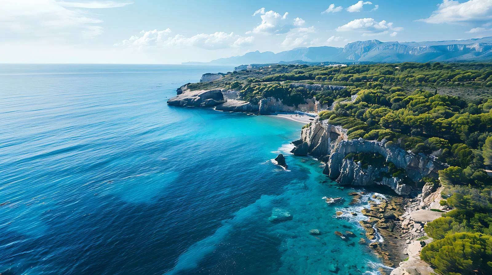 Drone-captured Coastal Scenery - Aerial View — free download from Dotvec