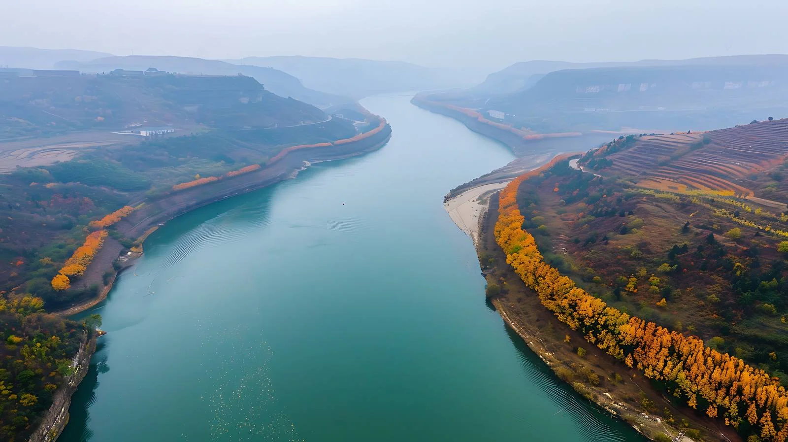 Vibrant Aerial View of Autumn Foliage — free download from Dotvec