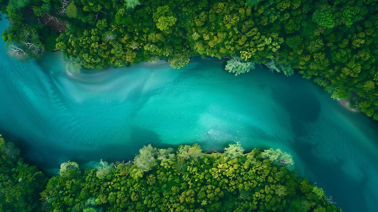 Tranquil Aerial River on White Background — free download from Dotvec