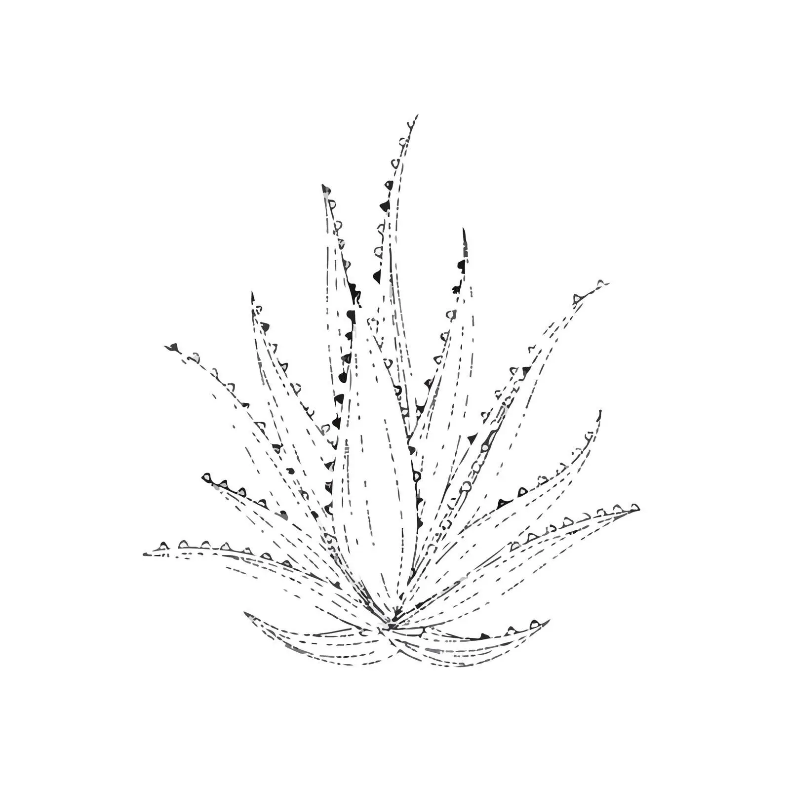 Aloe Vera Applique Embroidery Vector Art — free download from Dotvec