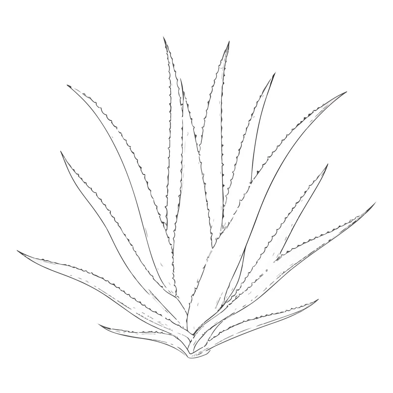 Aloe Vera Applique Embroidery Vector Art — free download from Dotvec