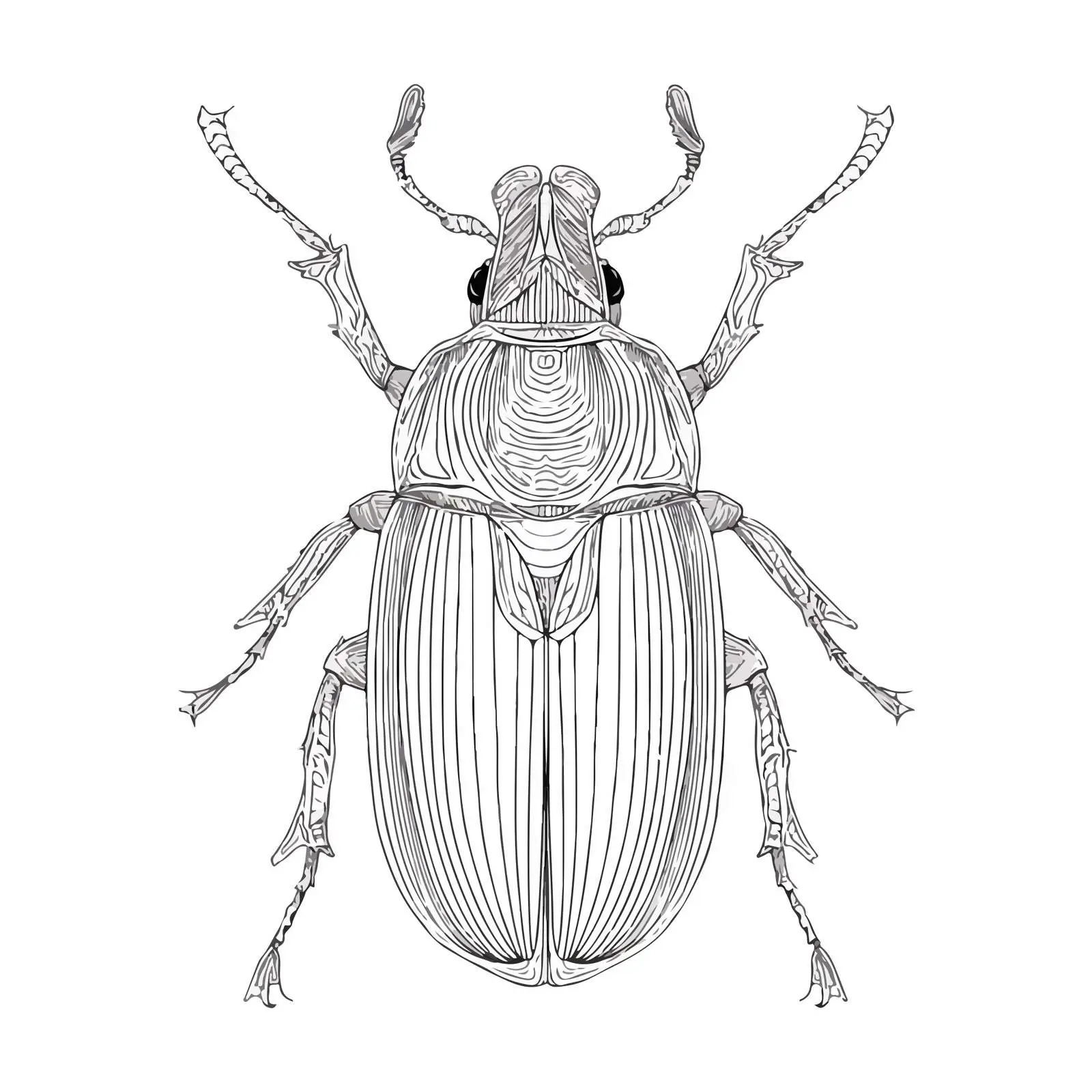 Beetle Applique Embroidery Art — free download from Dotvec