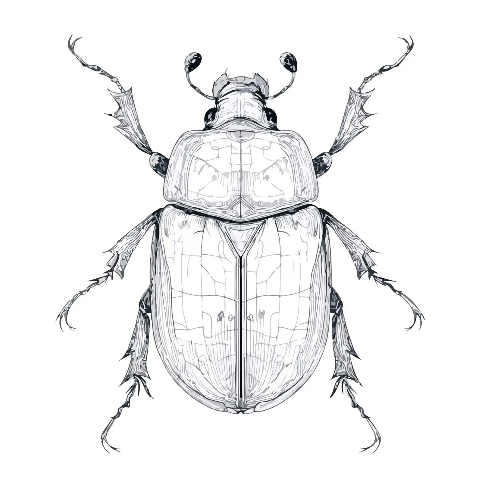 Beetle Applique Embroidery Design — free download from Dotvec