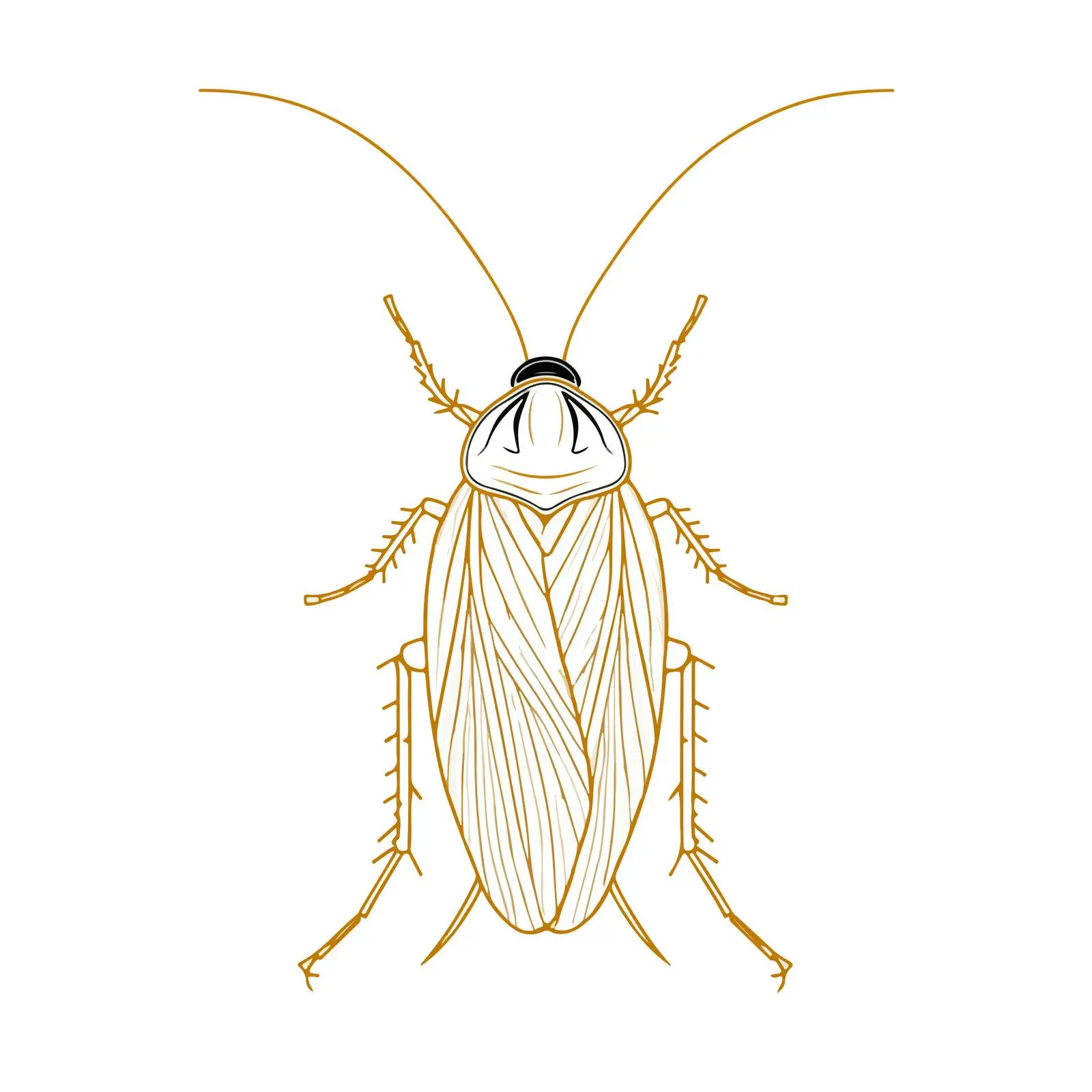 Applique Cockroach Embroidery Vector Art — free download from Dotvec