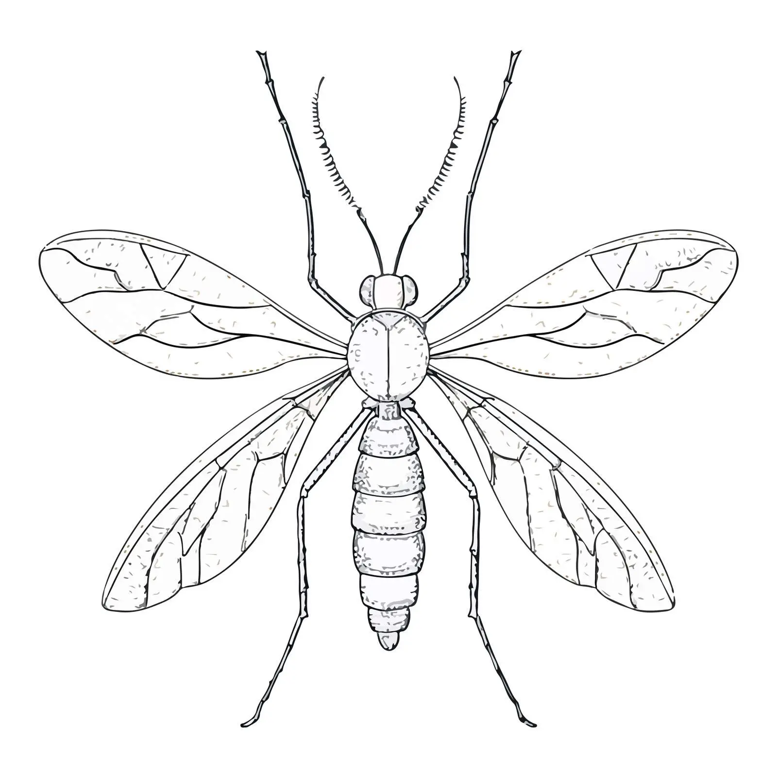 Mosquito Embroidery Line Art Applique Vector — free download from Dotvec