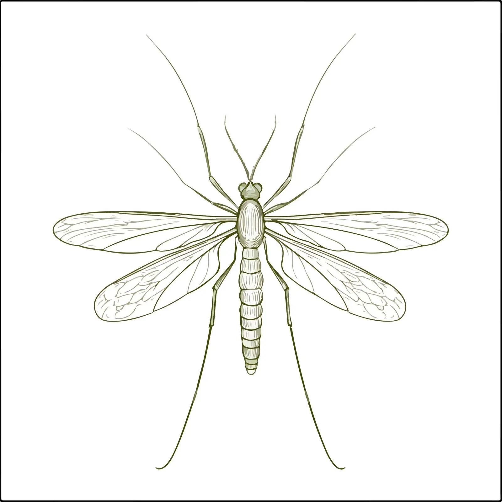 Embroidery Mosquito Applique Line Art Vector — free download from Dotvec