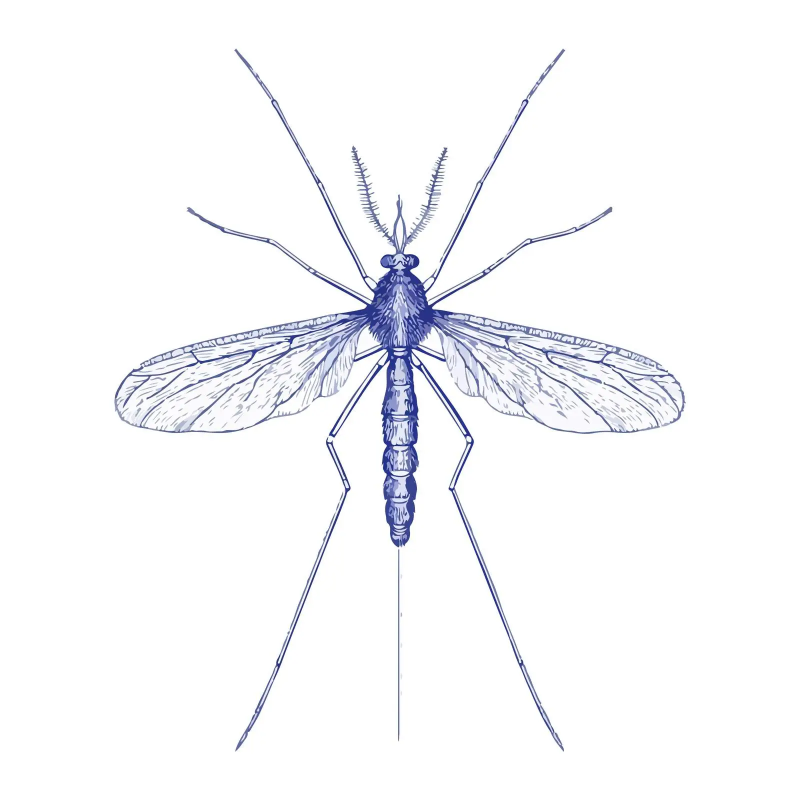 Mosquito Embroidery Vector Illustration — free download from Dotvec