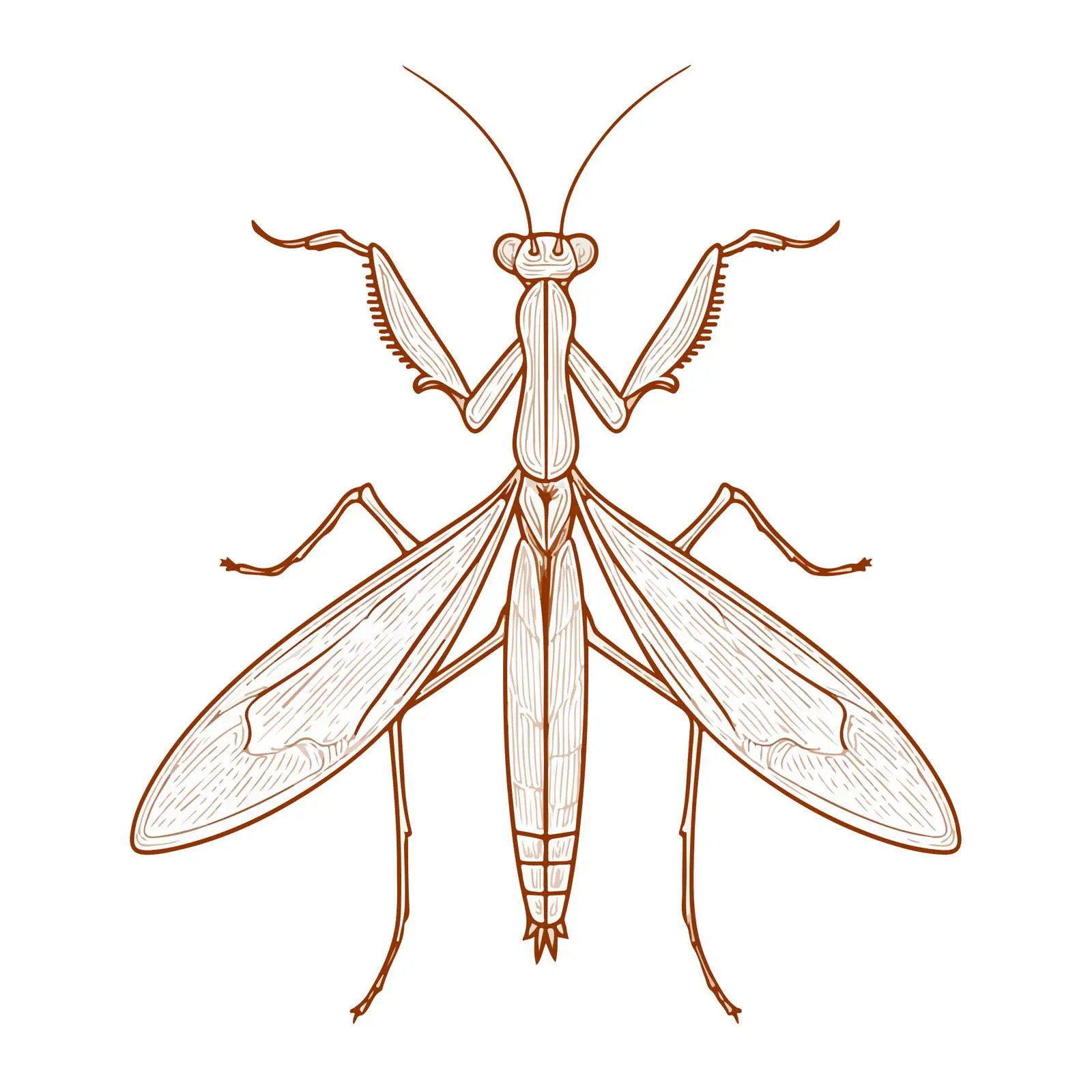 Praying Mantis Applique Embroidery Design — free download from Dotvec