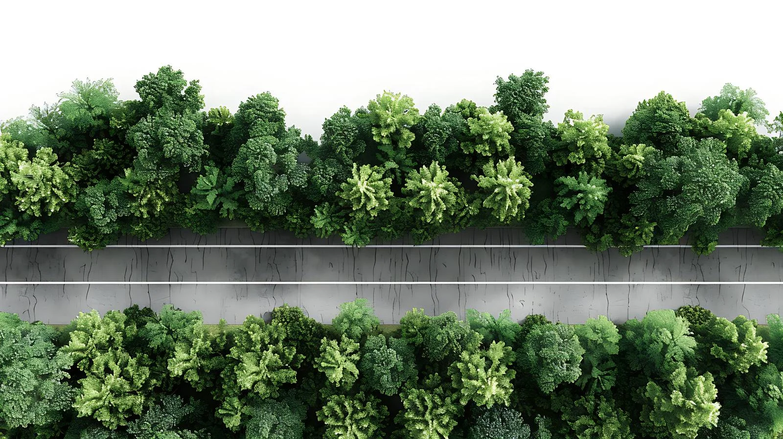 Forest-lined aerial view of isolated road — free download from Dotvec