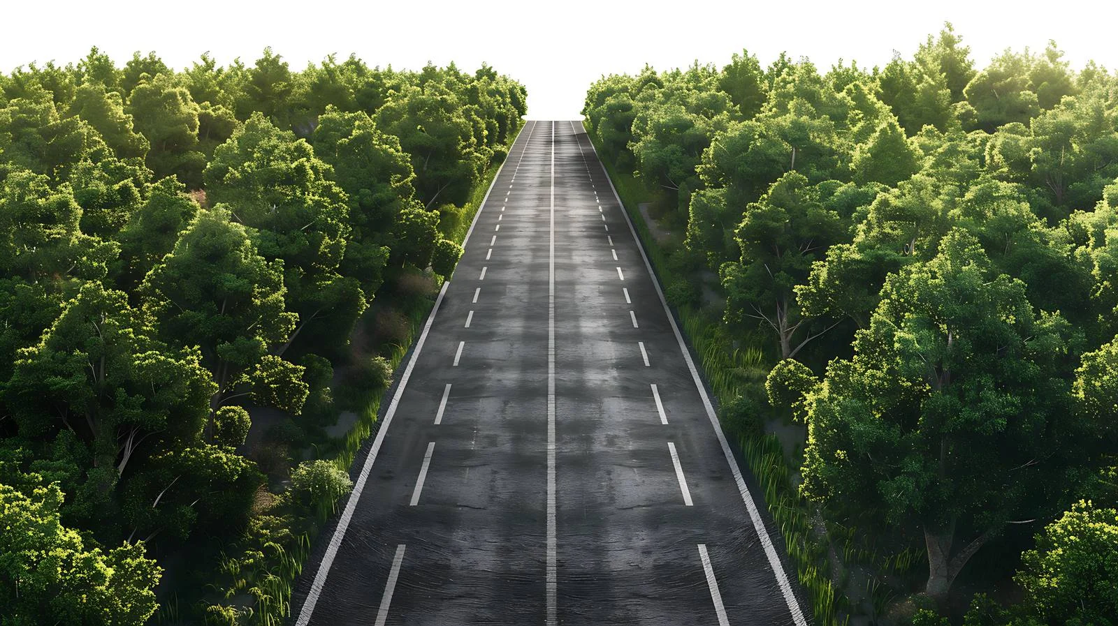 Aerial View of Forest-Enclosed Asphalt Road — free download from Dotvec