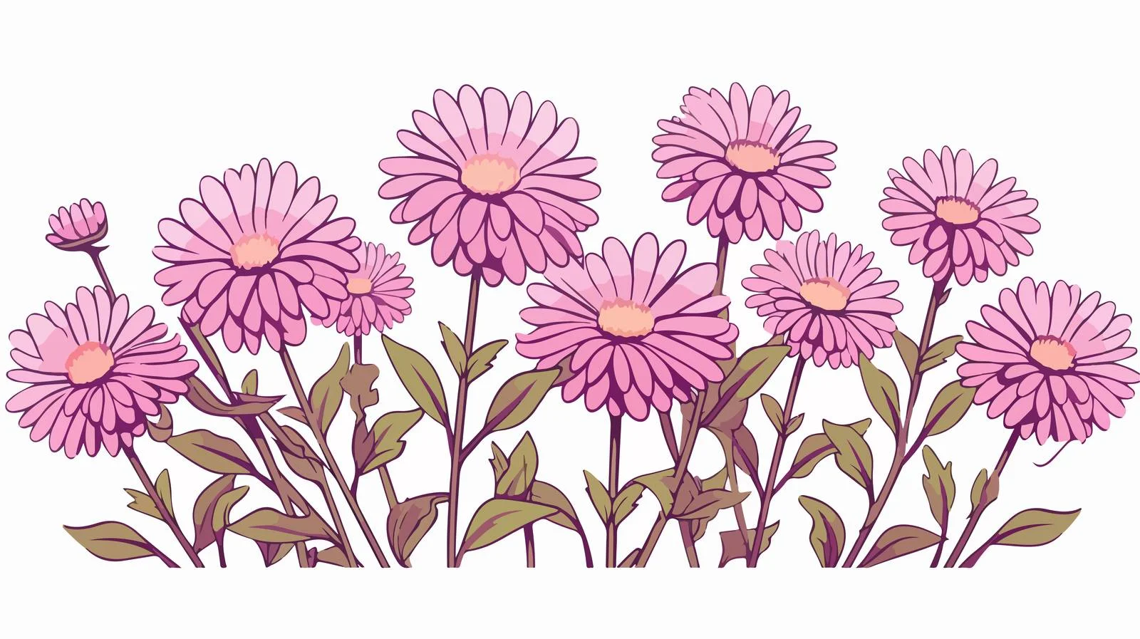 Aster Flowers Line Art Illustration — free download from Dotvec