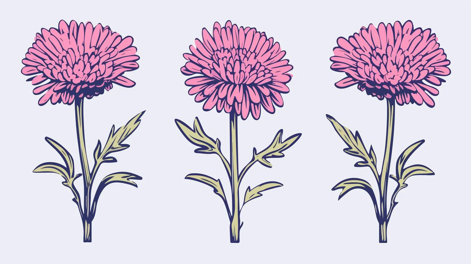 Aster Flowers Line Art Cartoon Illustration — free download from Dotvec