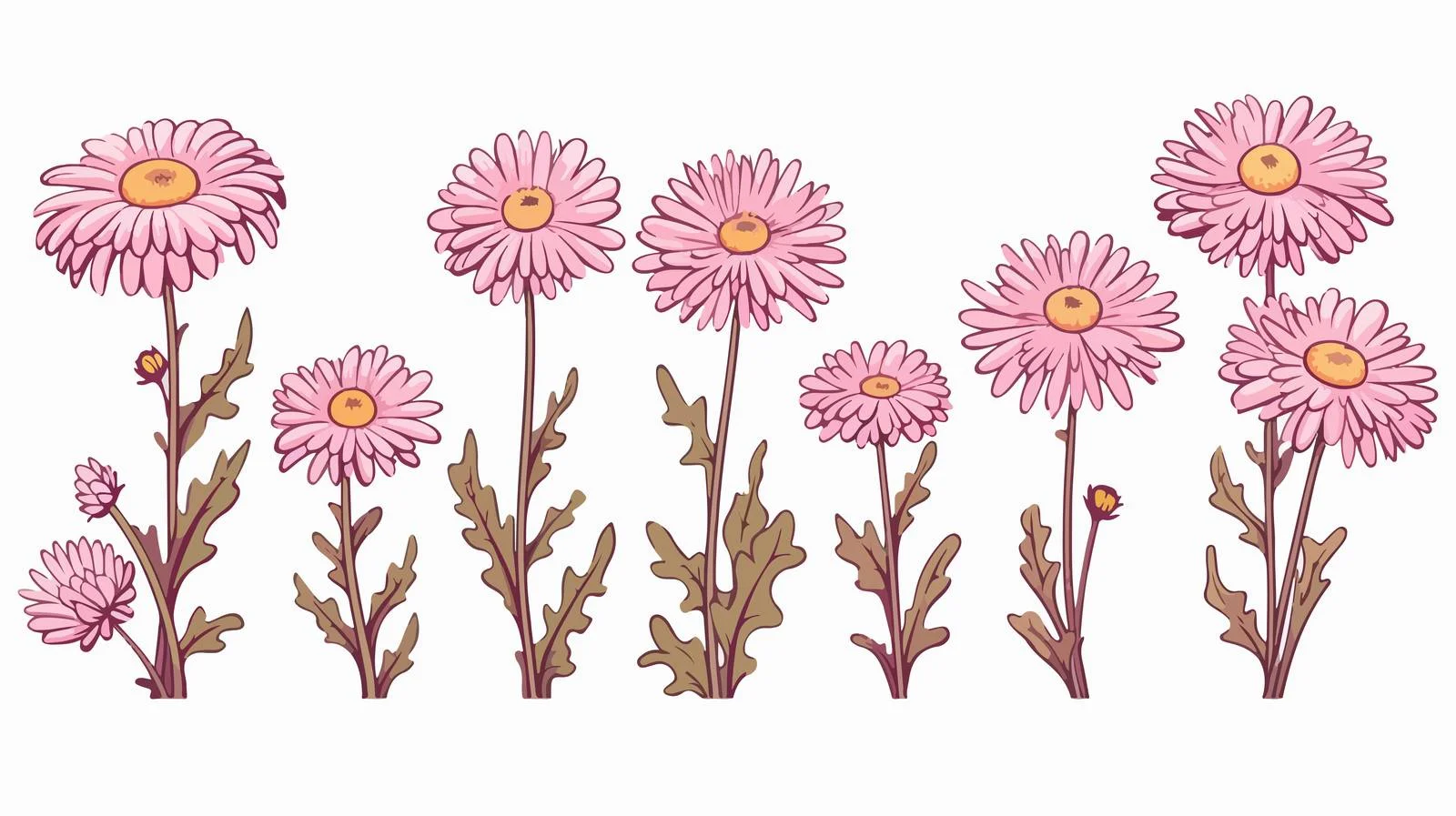 Aster Flowers Line Art Illustration — free download from Dotvec
