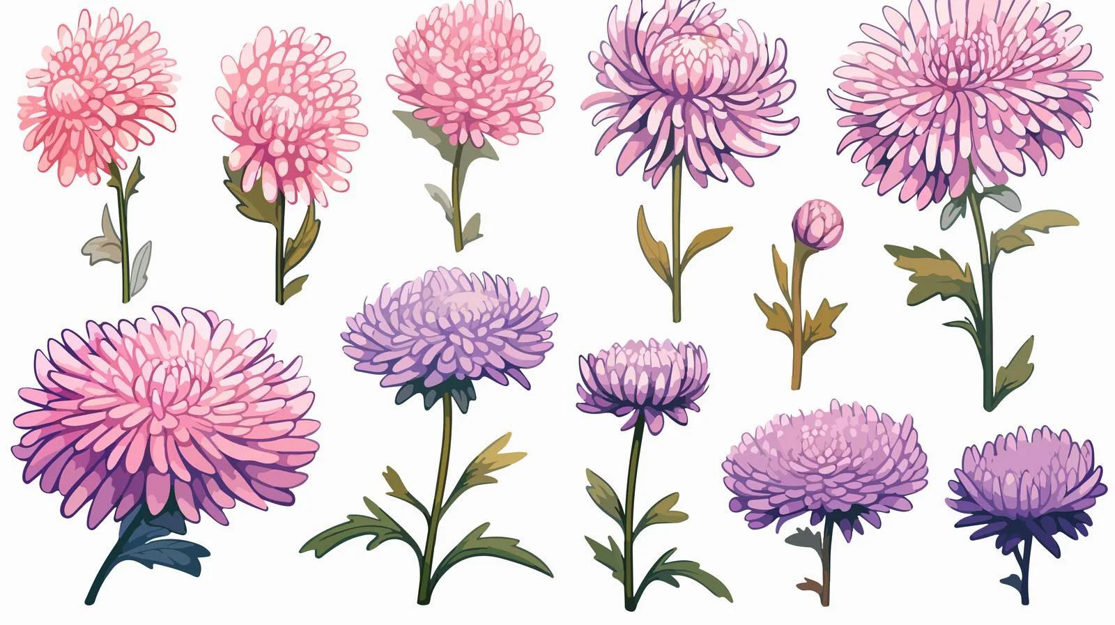 Hand-drawn Aster Flowers Sketch Vector Cartoon — free download from Dotvec