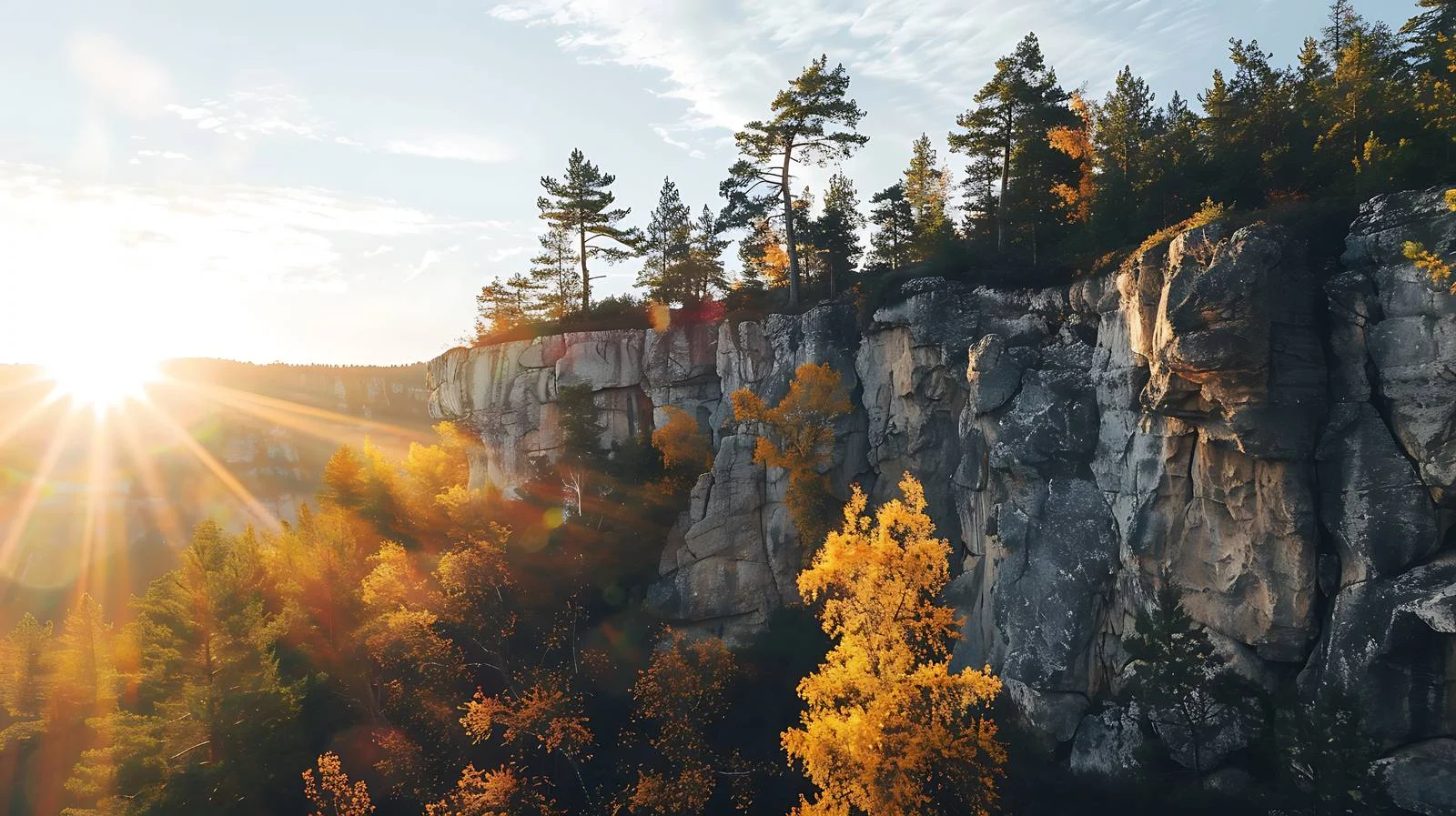 Sunlit cliff and pine grove with glare amongst trees — free download from Dotvec