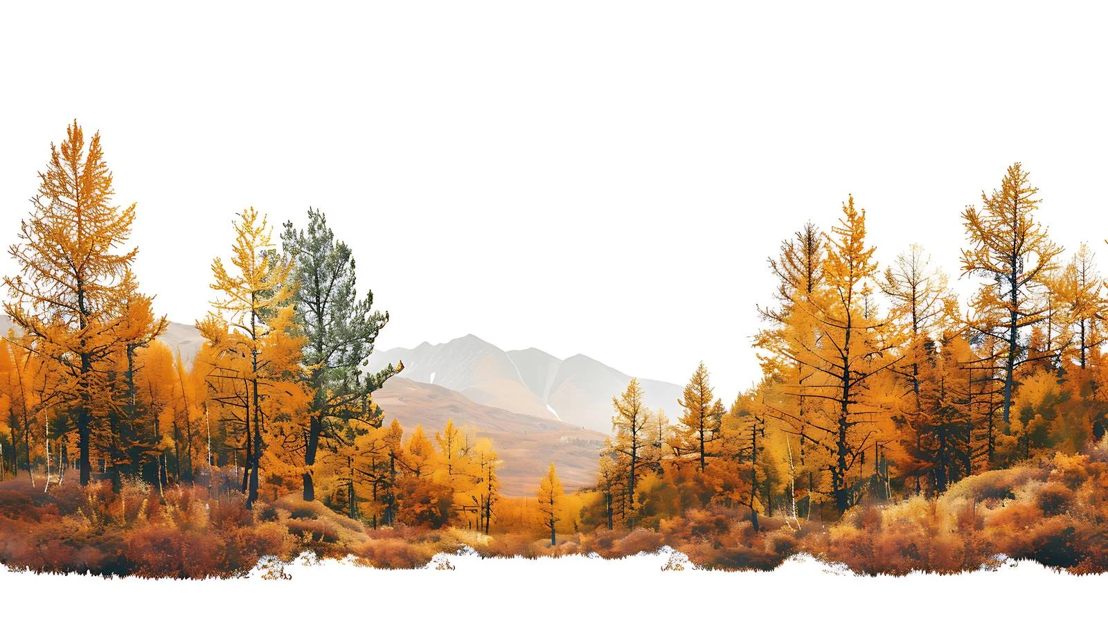 Vibrant autumn scene in solitary mountains — free download from Dotvec