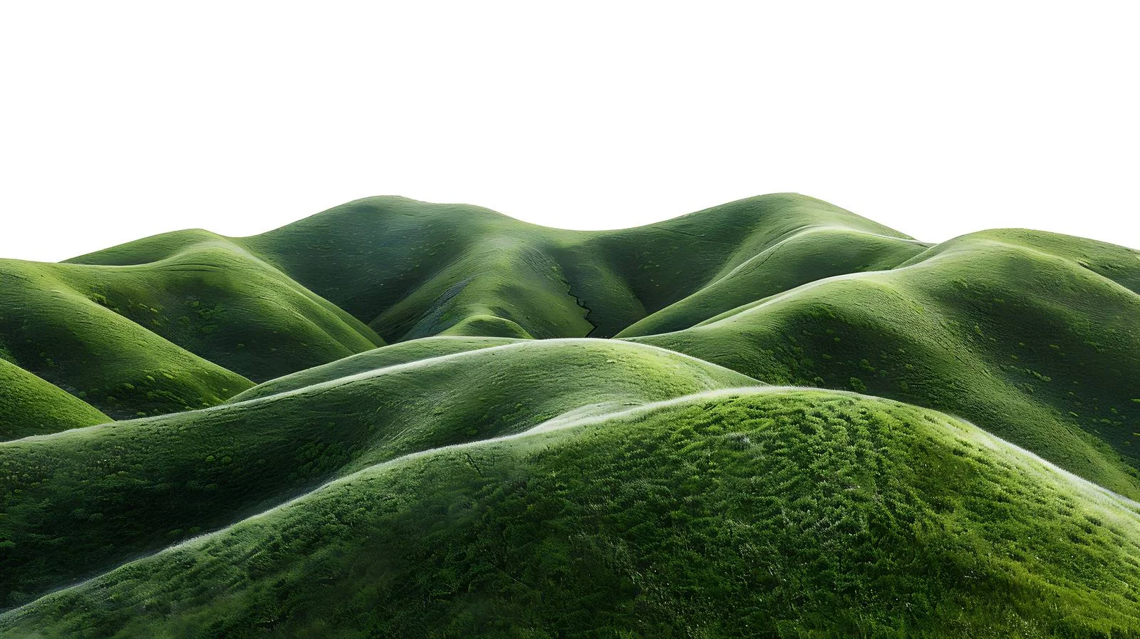 Serenity of Morning Green Hills Aerial — free download from Dotvec