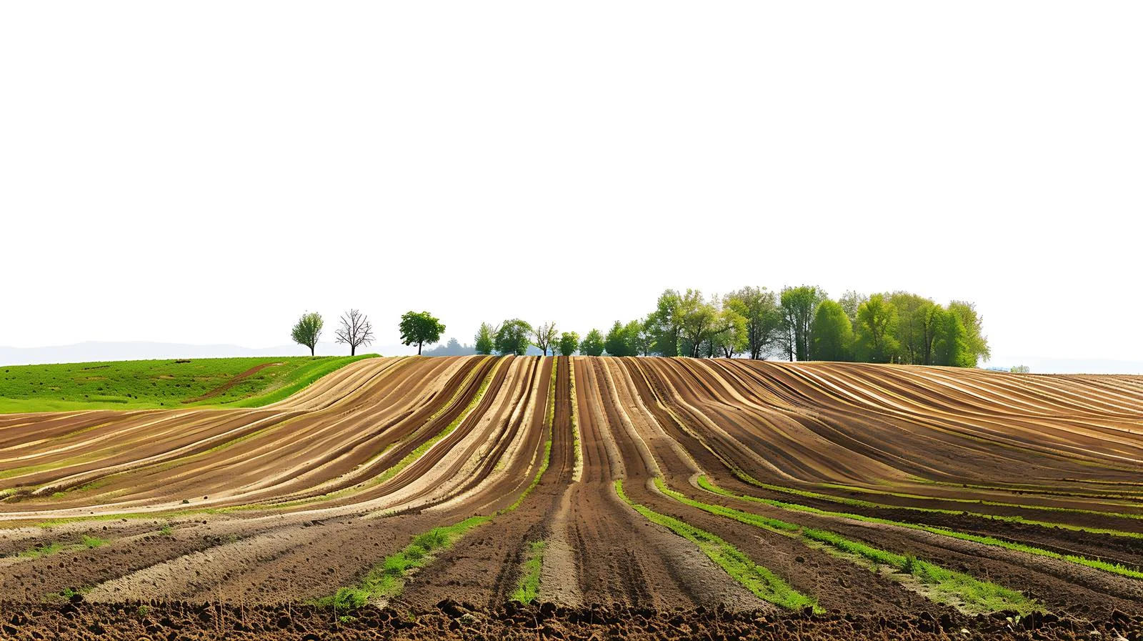 Idyllic Spring Countryside with Freshly Plowed Fields — free download from Dotvec