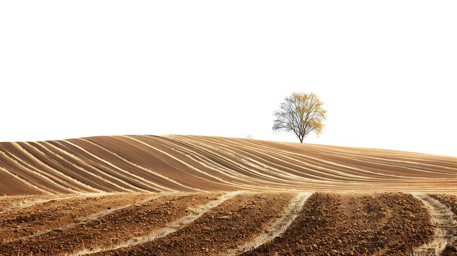 Scenic Rural Landscape with Freshly Plowed Fields — free download from Dotvec