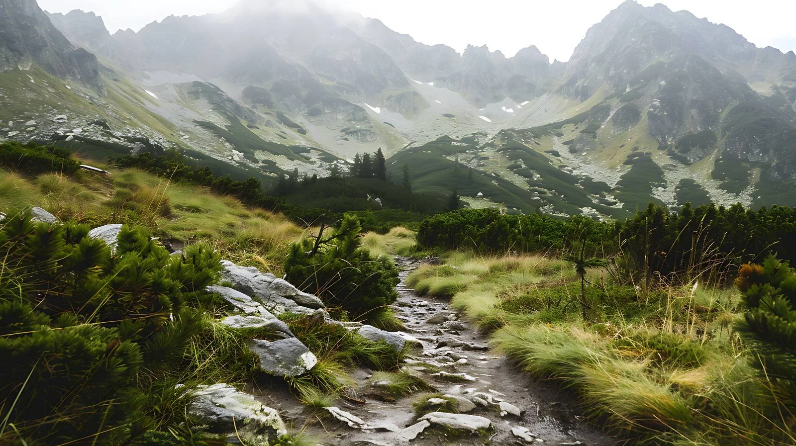 Serene Summer Retreat: Hala Gasienicowa Majesty — free download from Dotvec