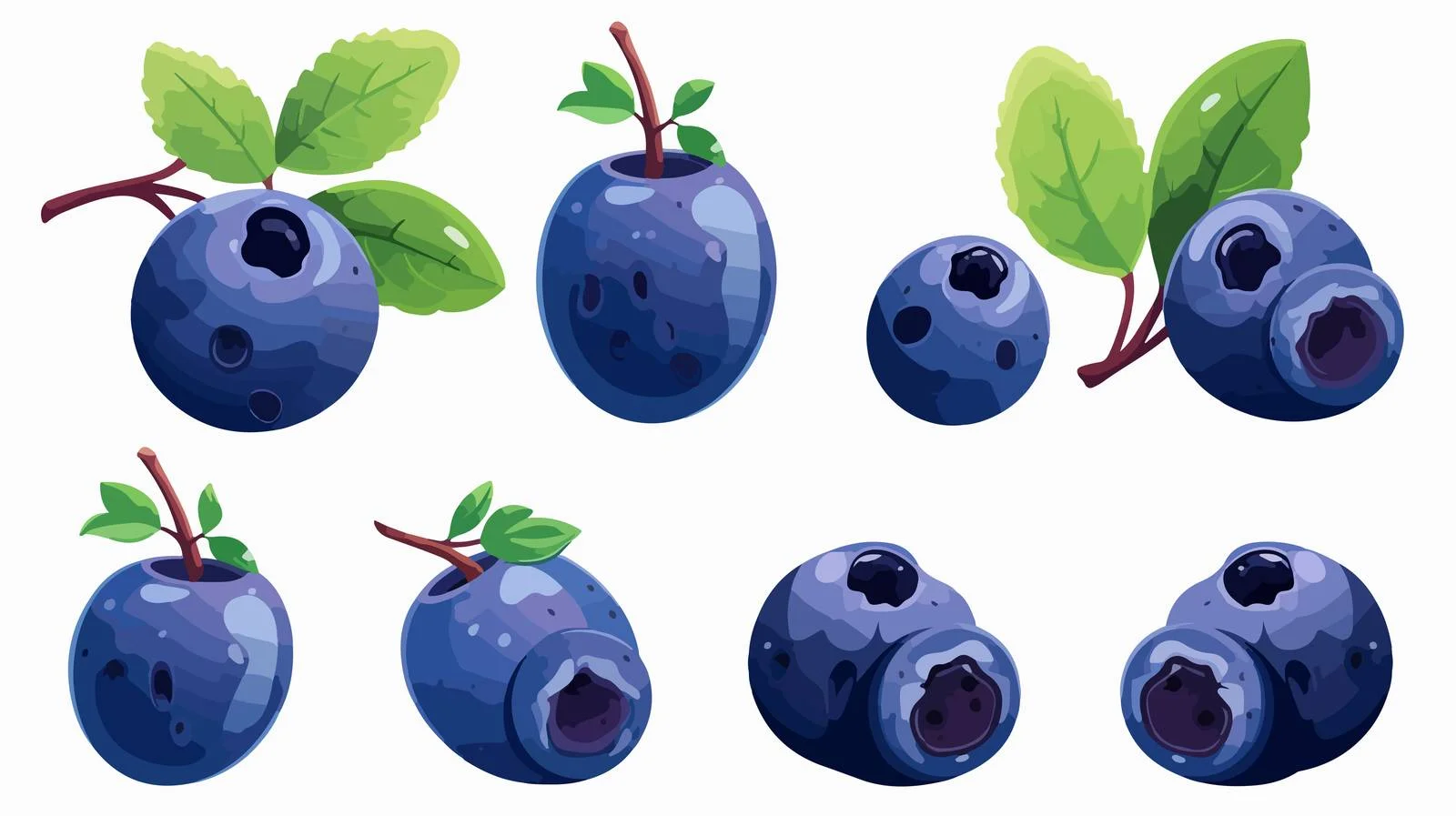 Fresh Blueberry Vector Illustration — free download from Dotvec