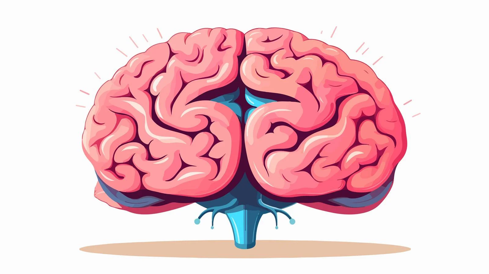 Brain Anatomy Cartoon Vector Illustration — free download from Dotvec