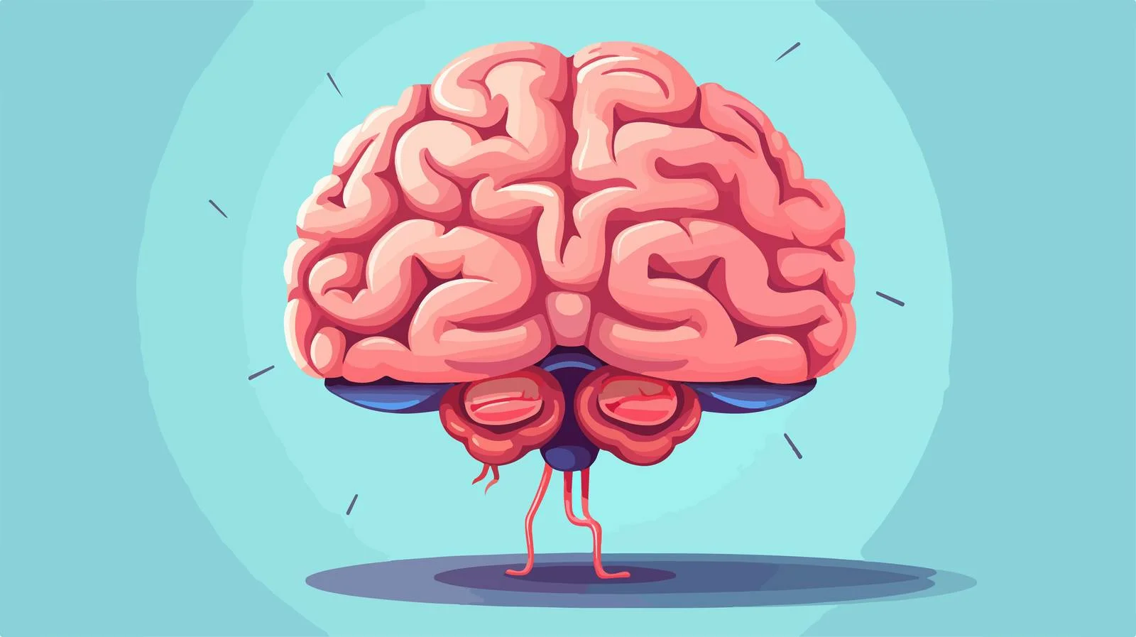 Brain Anatomy Cartoon Illustration Vector — free download from Dotvec