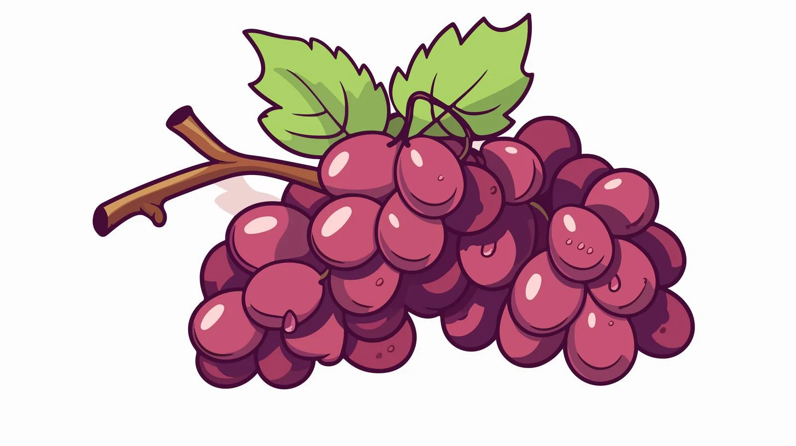 Vintage Grapes Sketch Illustration — free download from Dotvec