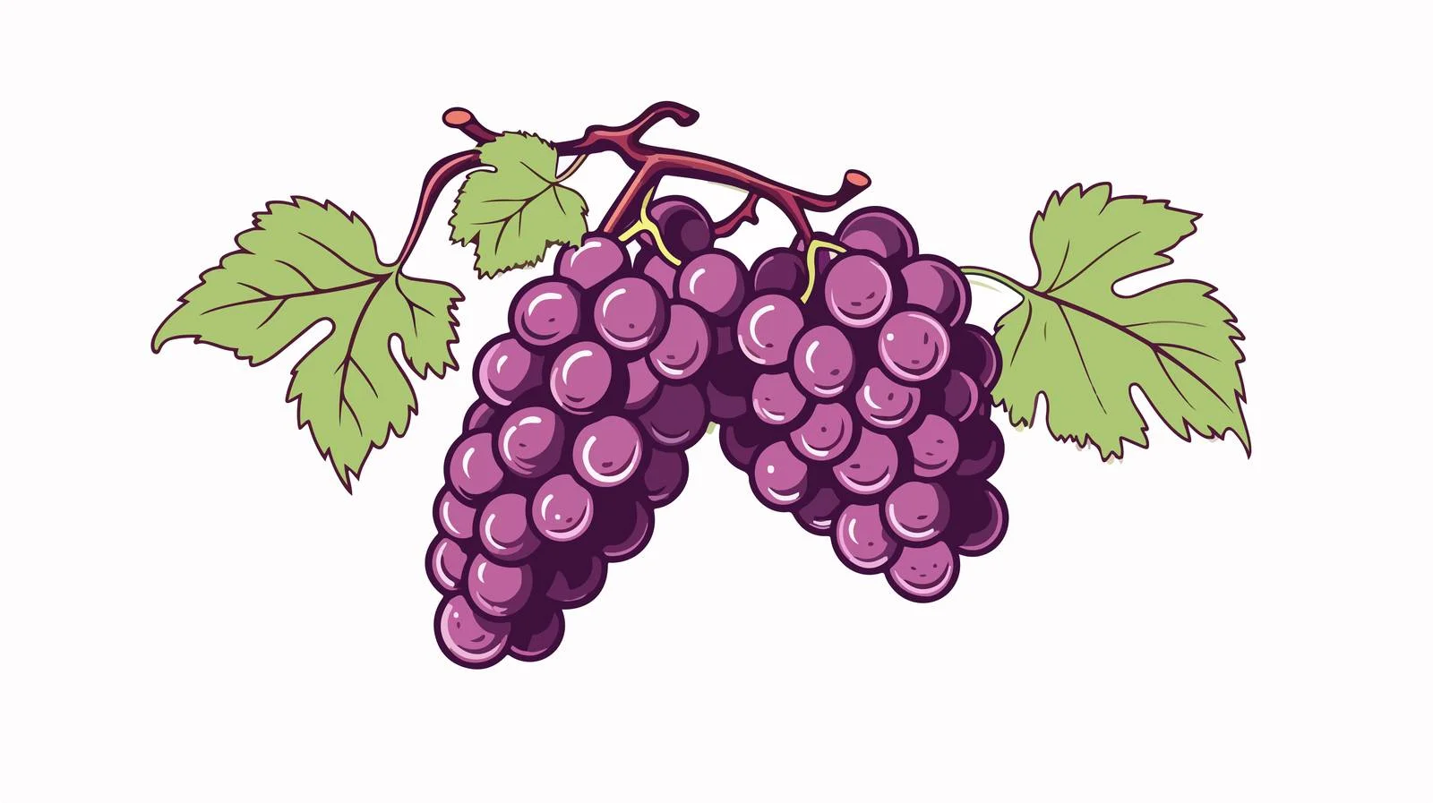 Vintage Grapes Doodle Sketch — free download from Dotvec