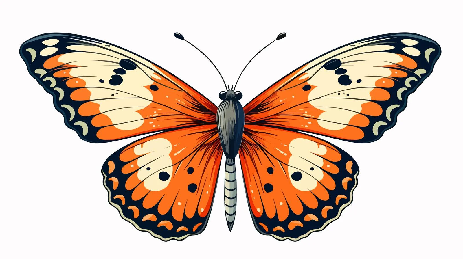 Exquisite Butterfly Sketch Illustration free images image from Dotvec
