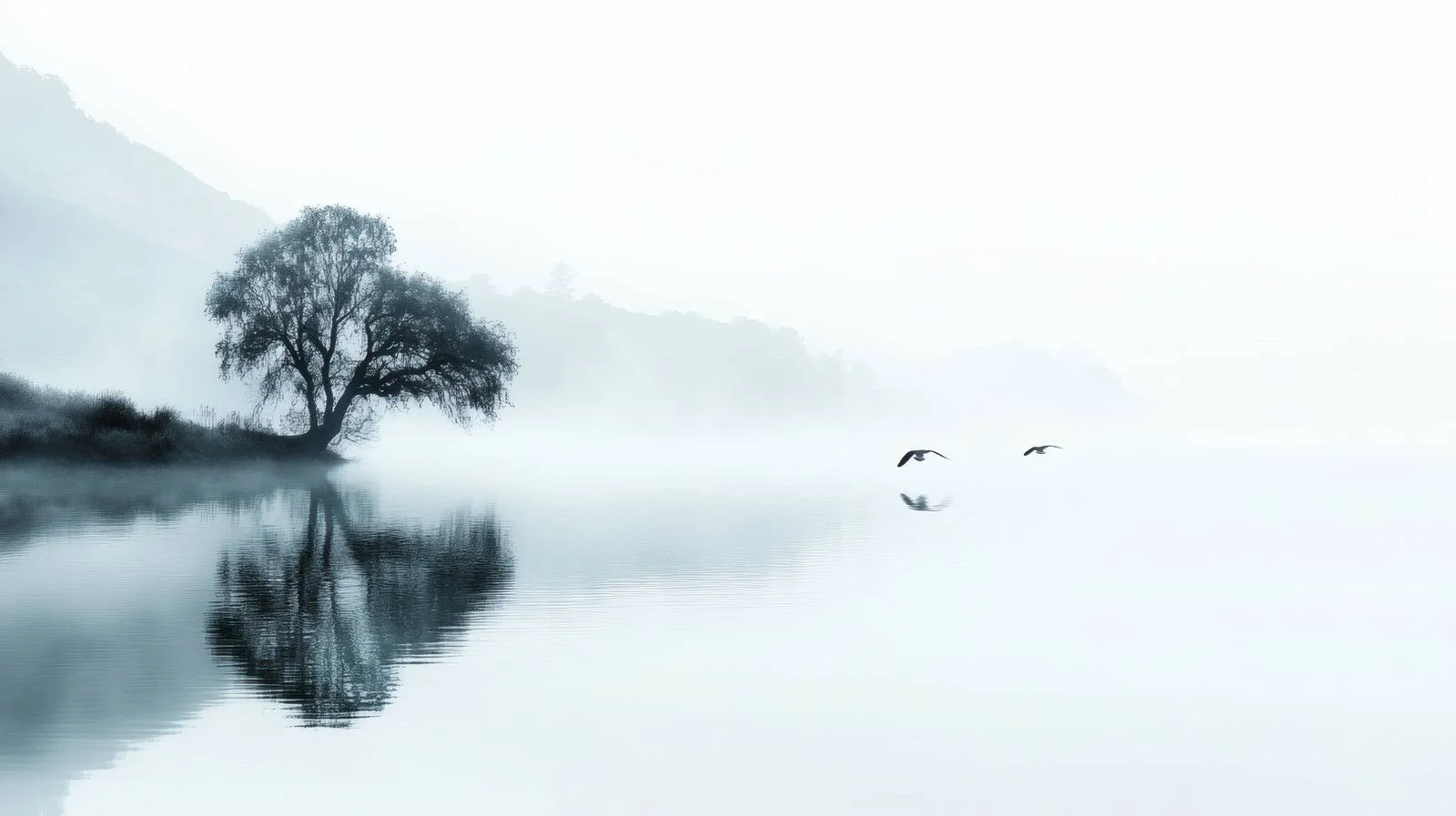 Tranquil Lake Scene on White Background — free download from Dotvec