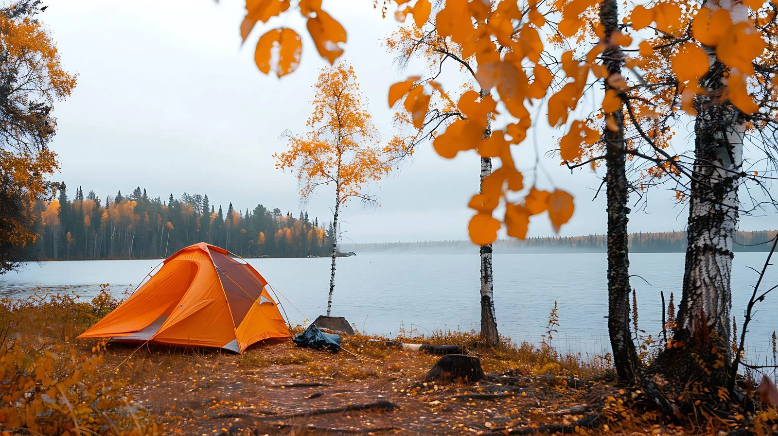 Tranquil Campsite by Northern Minnesota Lake — free download from Dotvec