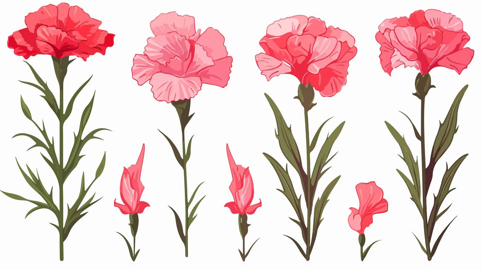 Carnation Sketch Illustration Set — free download from Dotvec