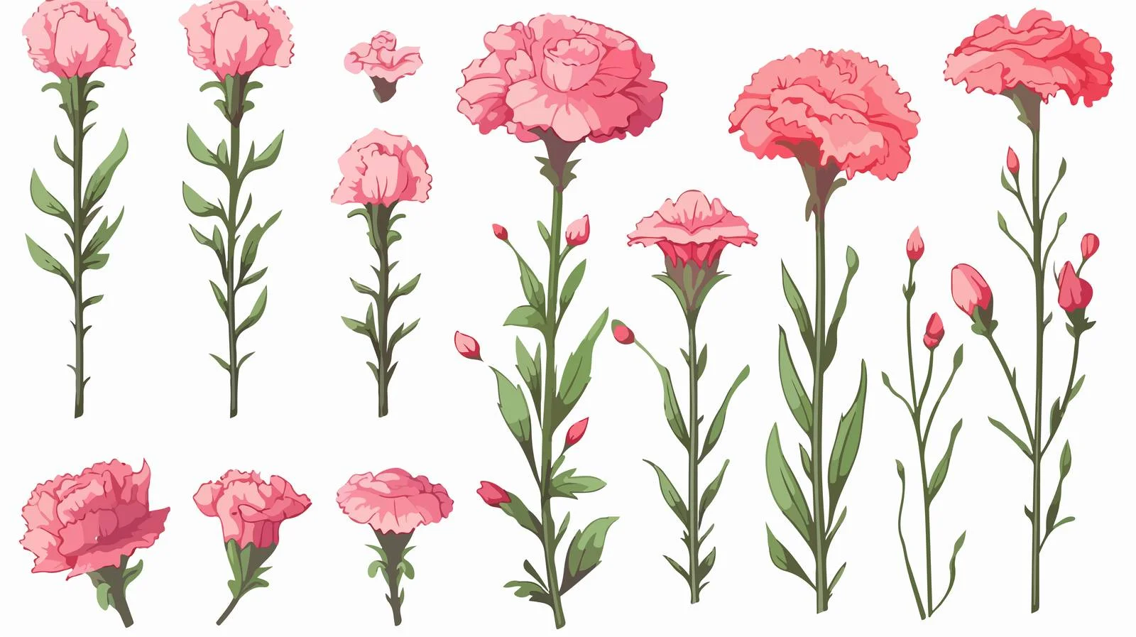 Carnation Sketch Vector Set — free download from Dotvec