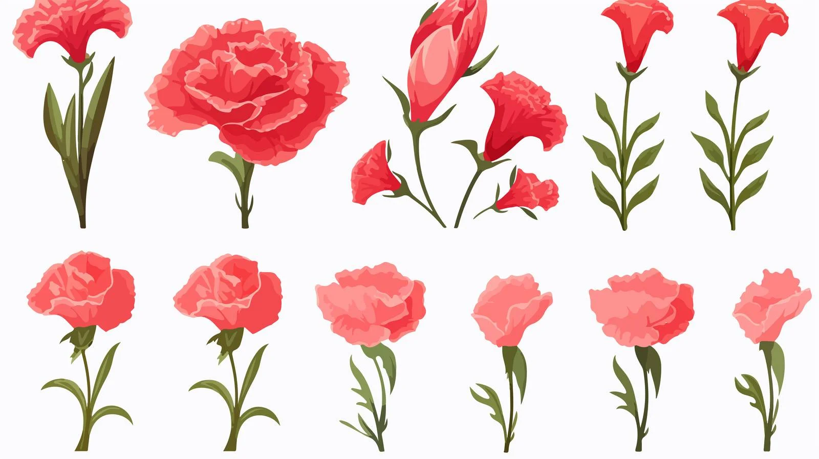 Carnation Sketch Vector Illustration Set — free download from Dotvec