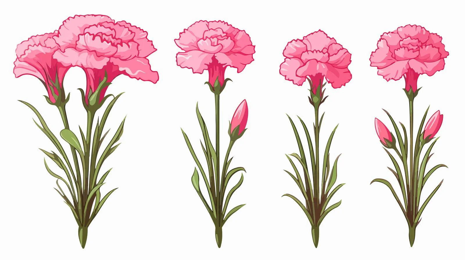 Comic Style Carnation Sketch Set — free download from Dotvec