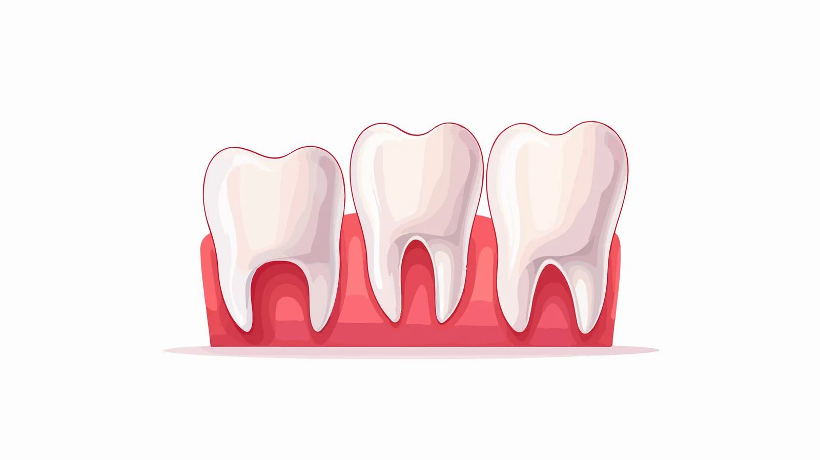 Illustration of Healthy Teeth and Gums — free download from Dotvec