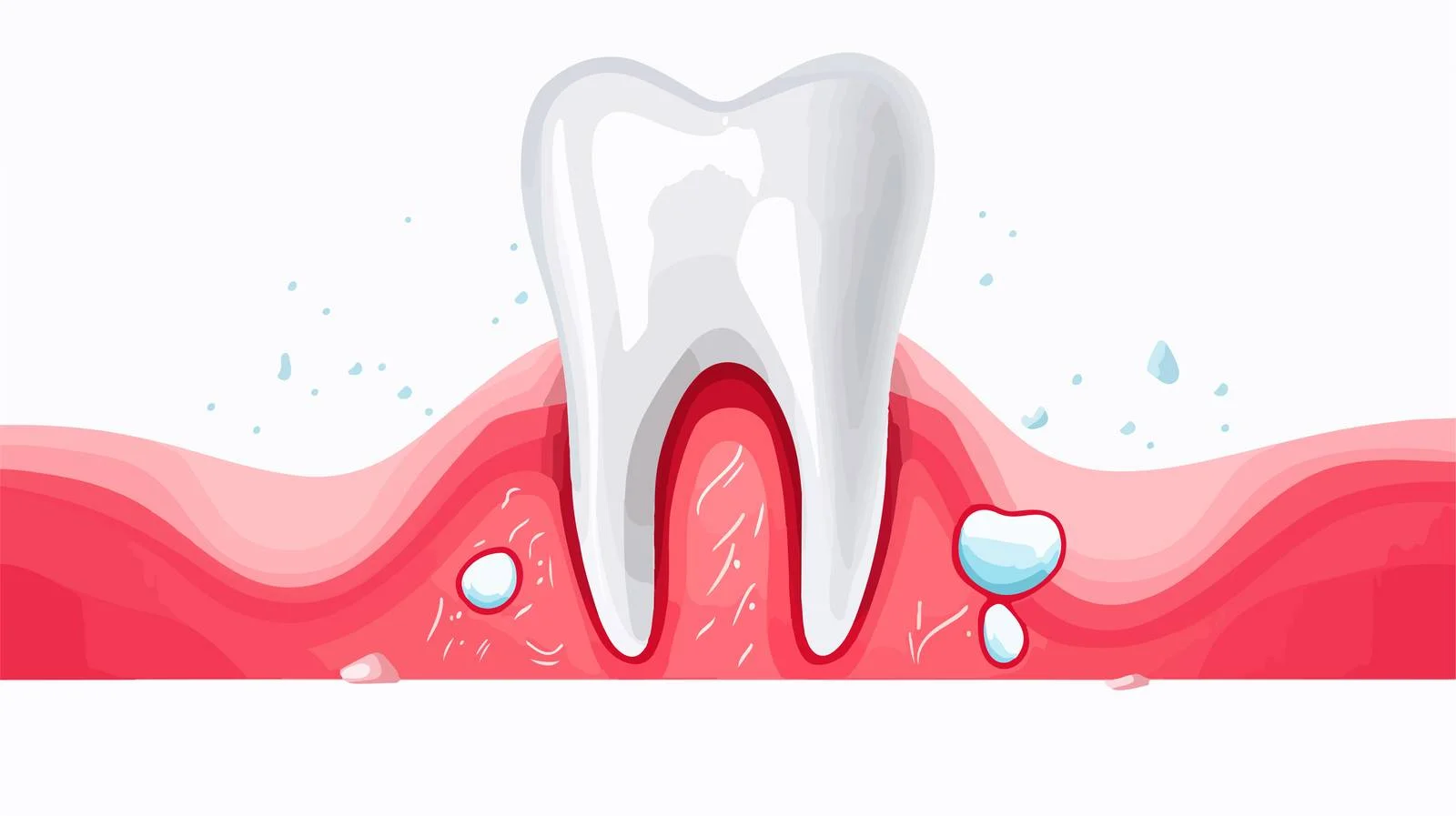 Illustration of Healthy Teeth and Gums — free download from Dotvec