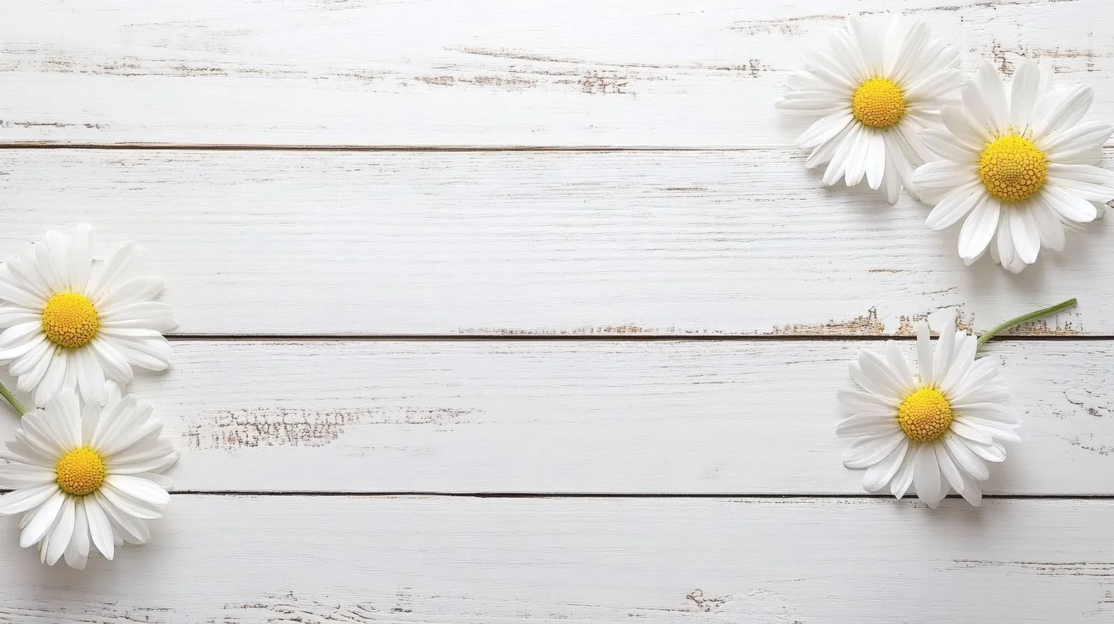 Chamomile and Daisy on Wooden Surface — free download from Dotvec