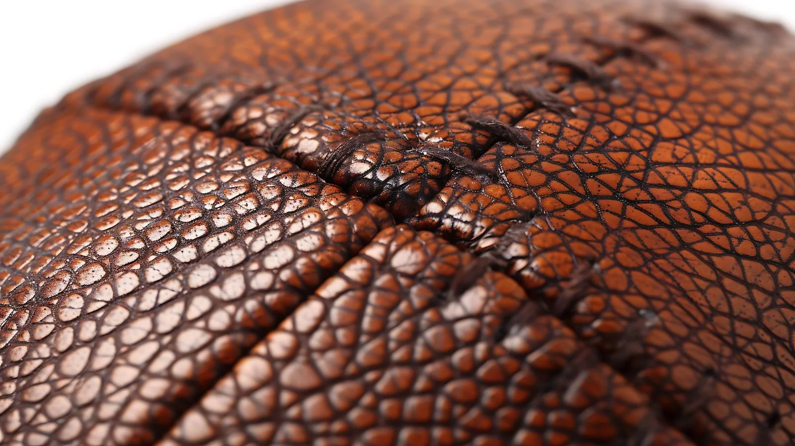Detailed Leather Football Texture on White — free download from Dotvec