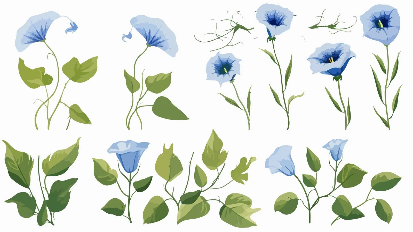 Morning Glory Flower and Leaves Collection — free download from Dotvec