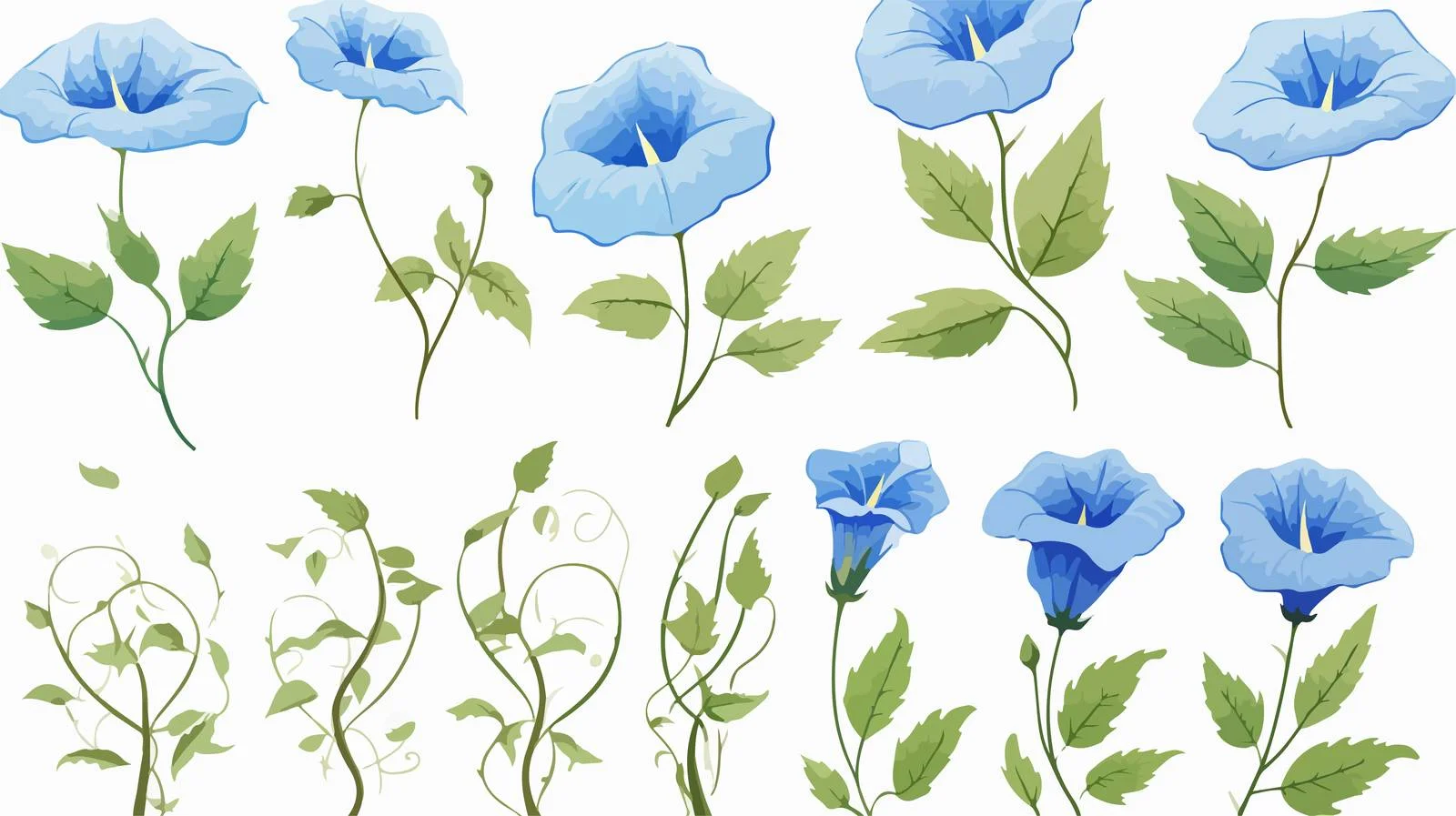 Morning Glory Flower and Leaves Collection — free download from Dotvec