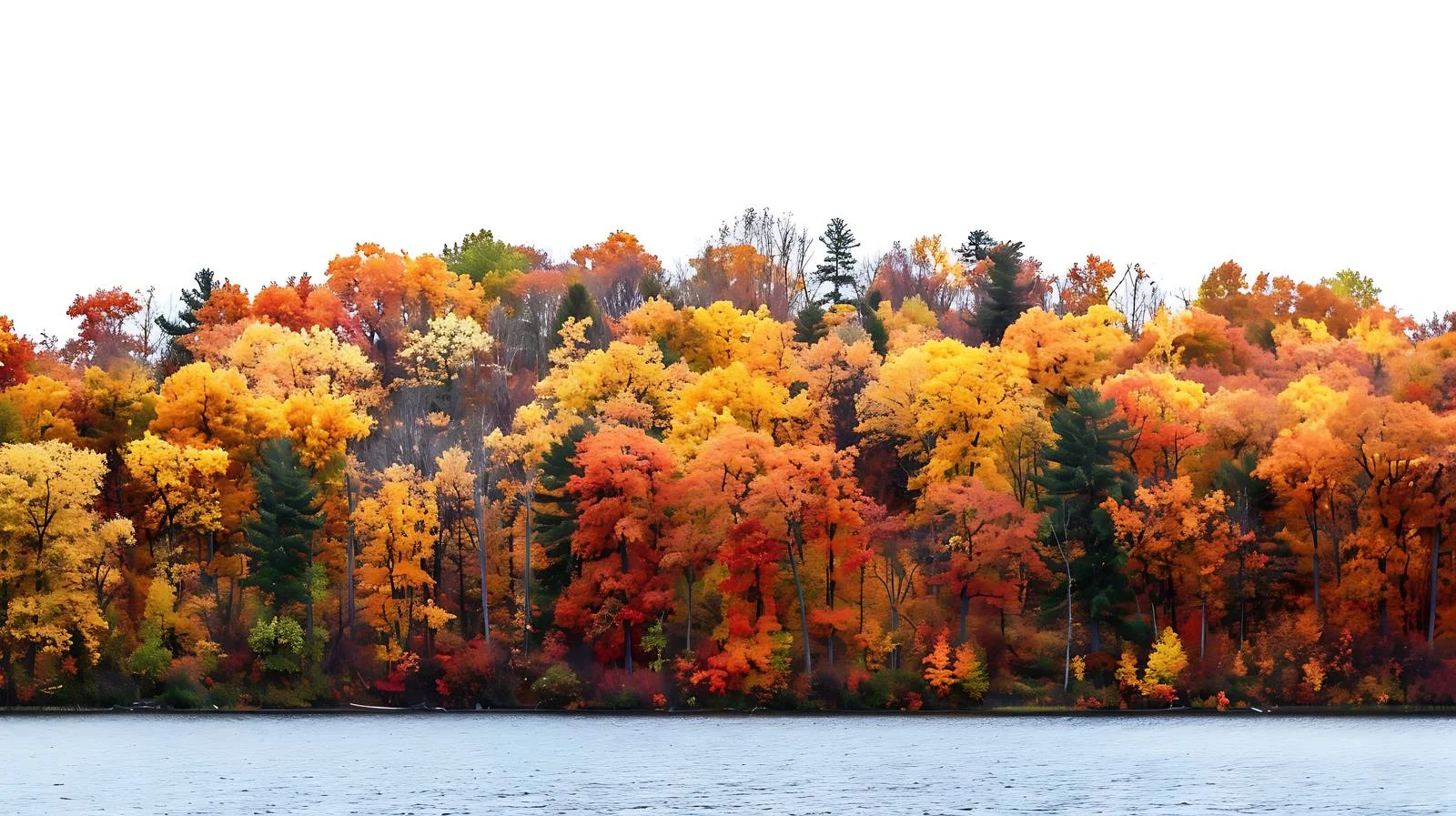 Vibrant Autumn Foliage Around Lake in Northern Minnesota — free download from Dotvec