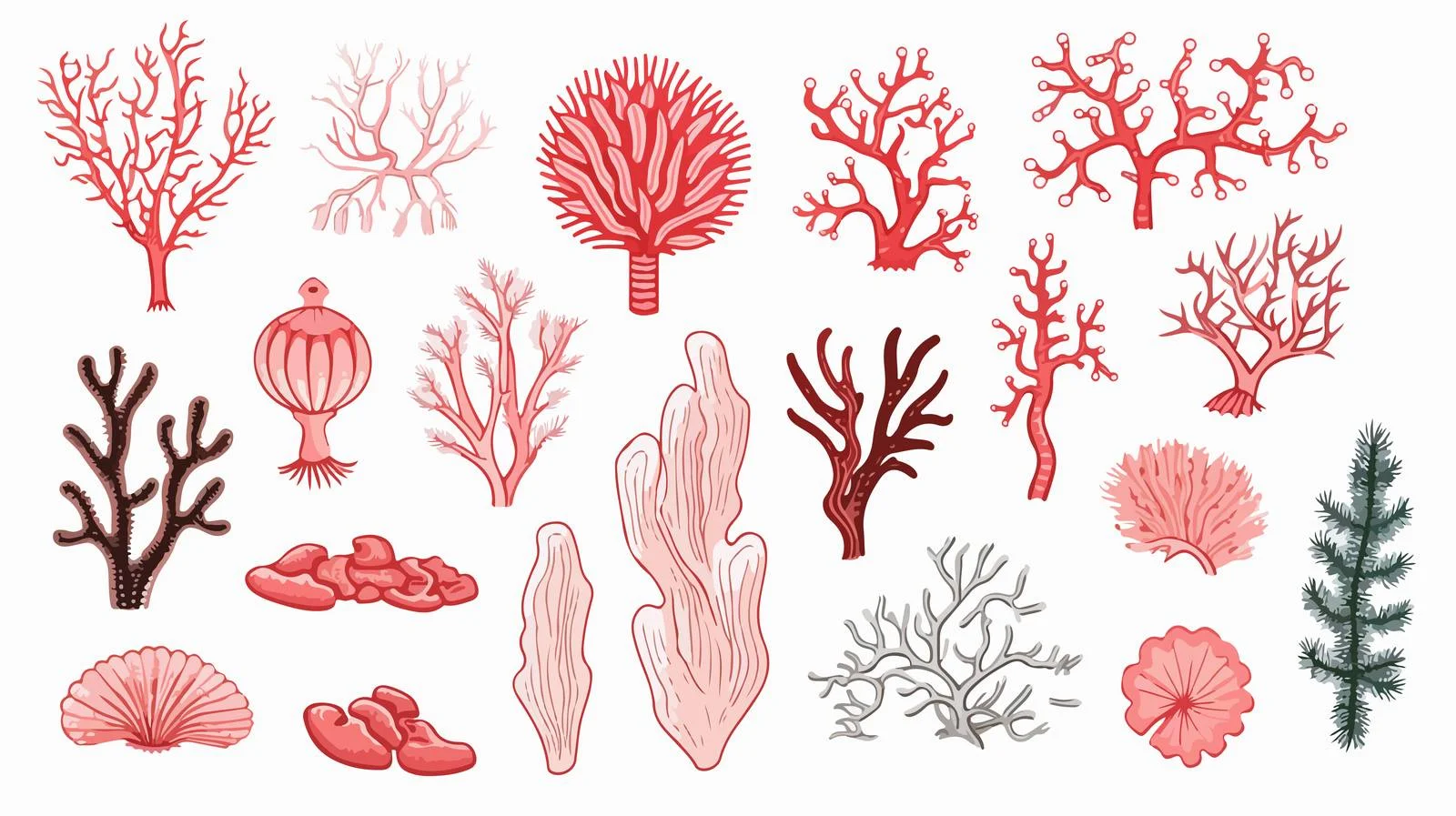 Hand-Drawn Coral Sketch Illustration — free download from Dotvec