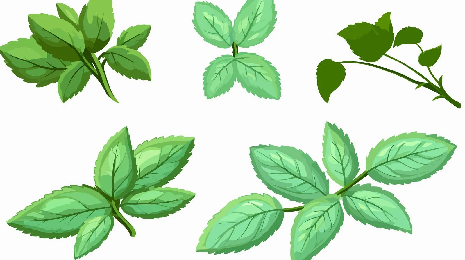 Whimsical Mint Leaves Cartoon Illustration — free download from Dotvec