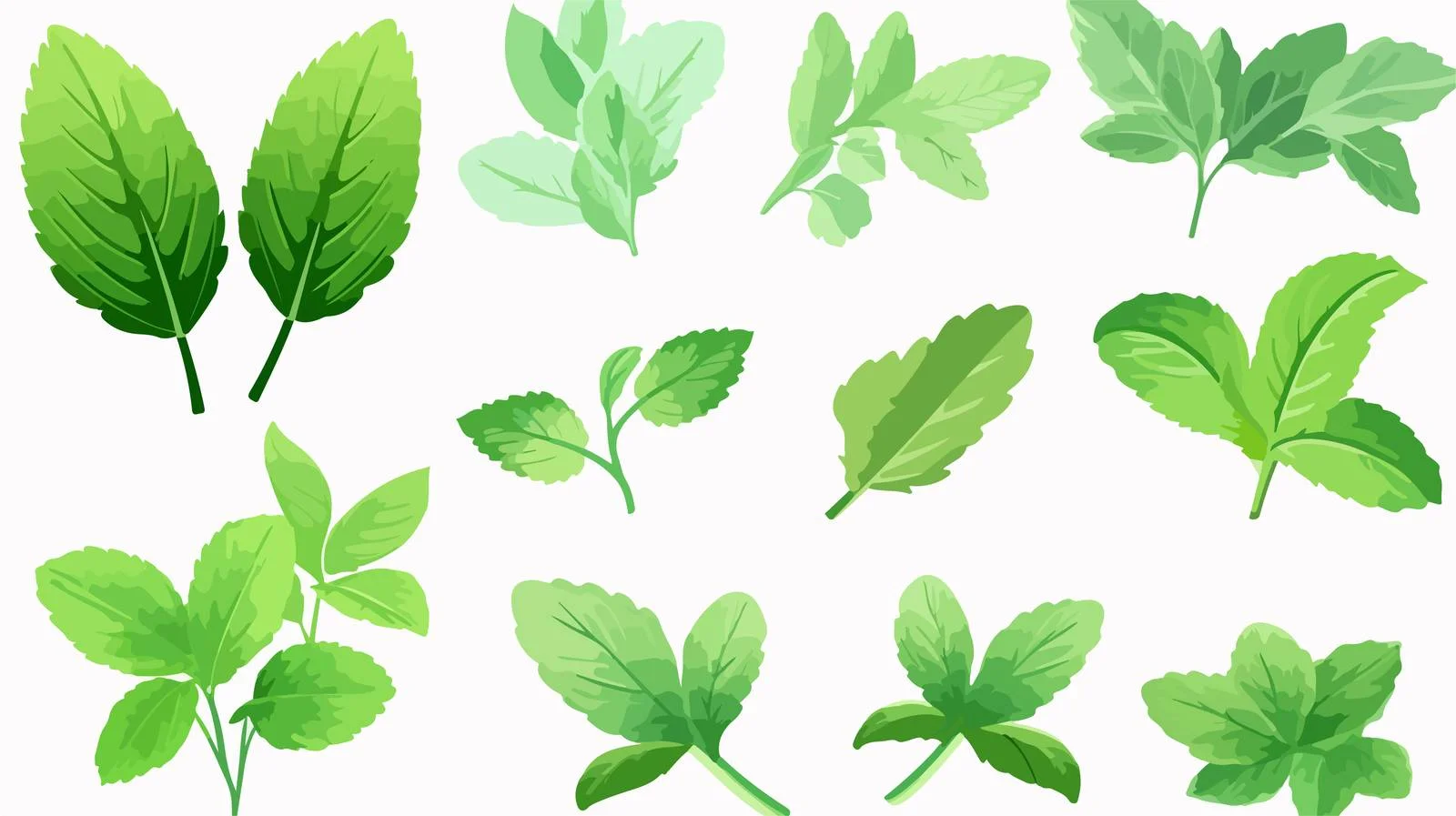 Charming Cartoon Mint Leaves in Style — free download from Dotvec