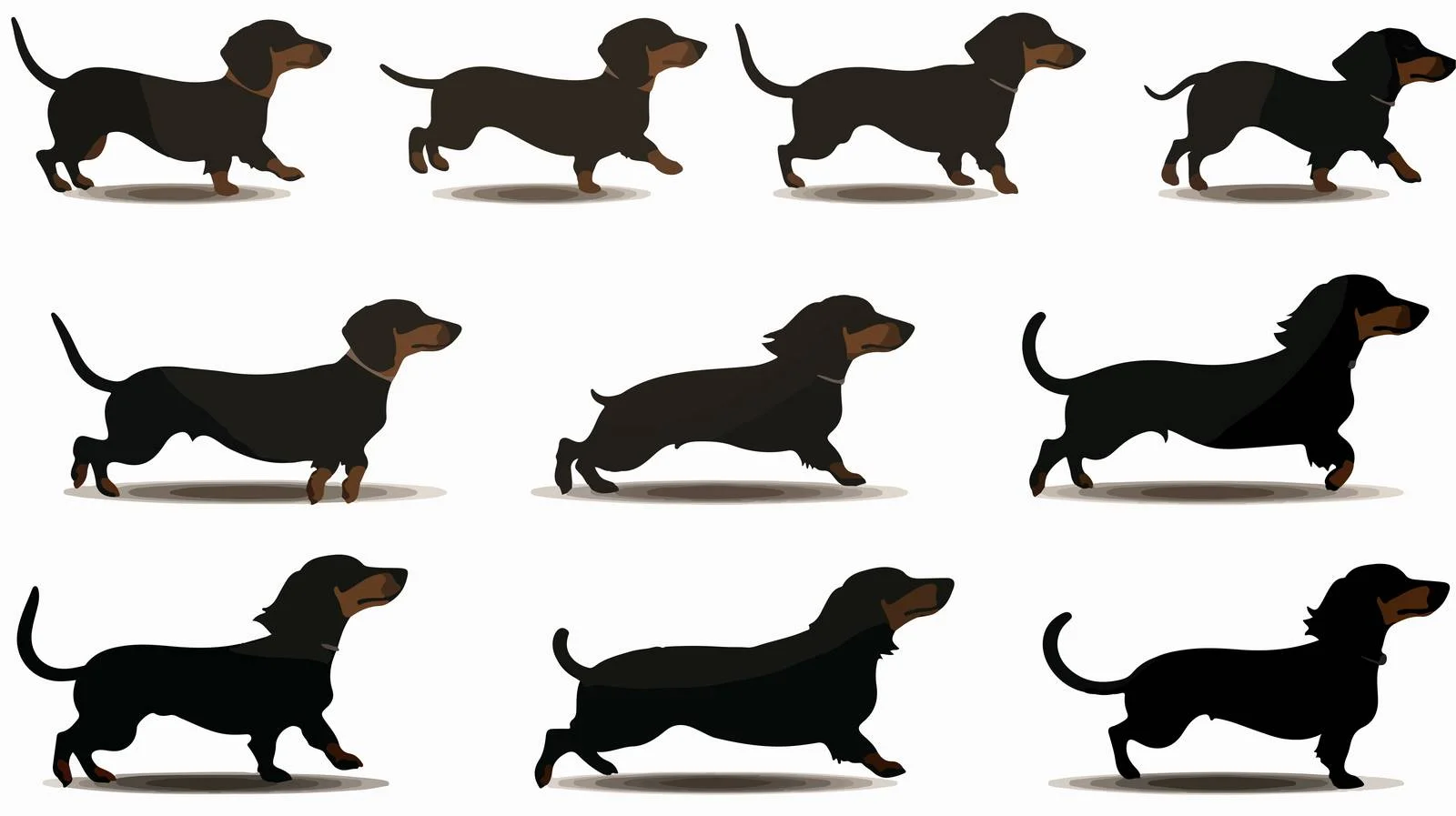 Dachshund Silhouette Poses Collection — free download from Dotvec