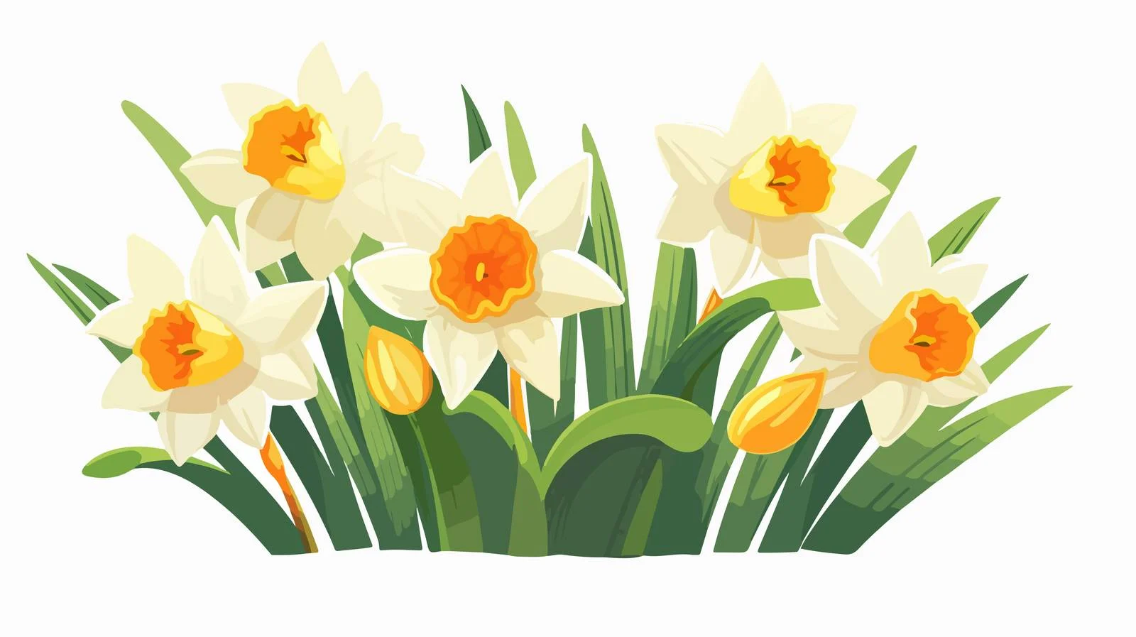 Elegant Daffodil Blossom with Narcissus Buds — free download from Dotvec