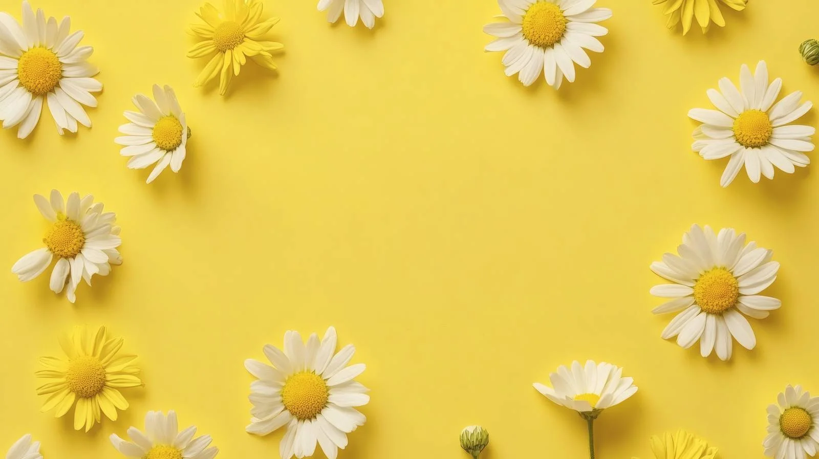 Chamomile and Daisy Flowers on Yellow — free download from Dotvec